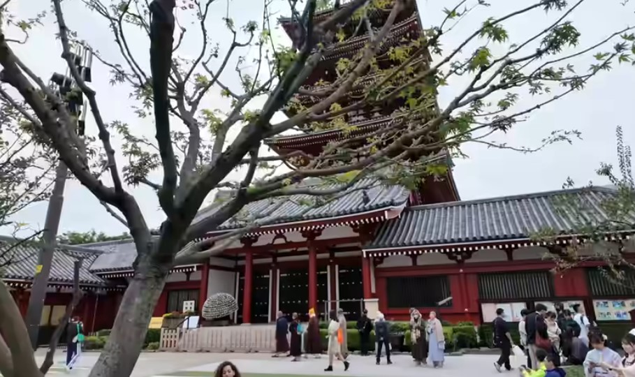 Viaje a Japón organizado
